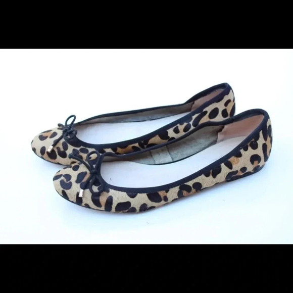 Cosmo Paris flats - Picture 2 of 8